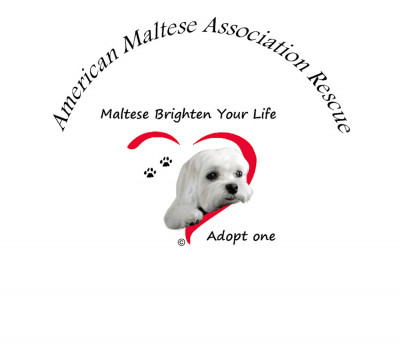 American Maltese Association Rescue - Pet Shelter and Rescue in Fort Bragg, California