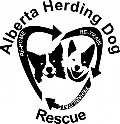 AB Herding Dog Rescue - Pet Shelter and Rescue in Didsbury, Alberta