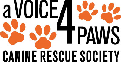 A Voice4paws Canine Rescue - Pet Shelter and Rescue in West Vancouver, British Columbia