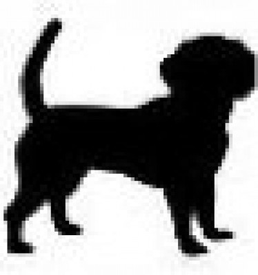 Pawz Patrol - Pet Shelter and Rescue in Surrey, British Columbia