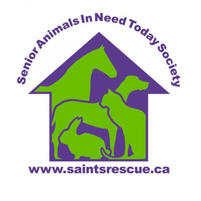 S.A.I.N.T.S. - Pet Shelter and Rescue in Mission, British Columbia