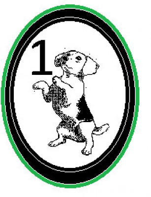 The One Dog Rescue - Pet Shelter and Rescue in North Vancouver, British Columbia