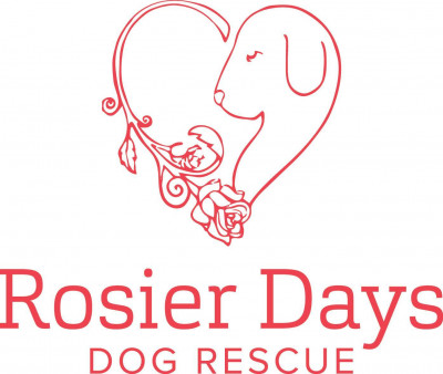 Rosier Days Dog Rescue - Pet Shelter and Rescue in Victoria, British Columbia