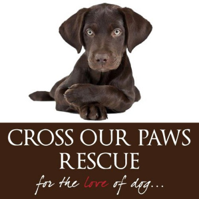 Cross Our Paws Rescue - Pet Shelter and Rescue in North Vancouver, British Columbia