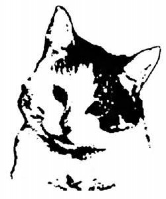 Katies Place - Pet Shelter and Rescue in Maple Ridge, British Columbia