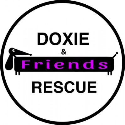 Doxie & Friends Rescue - Pet Shelter and Rescue in Abbotsford, British Columbia