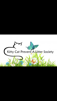 Kitty Cat PALS - Pet Shelter and Rescue in Courtenay, British Columbia