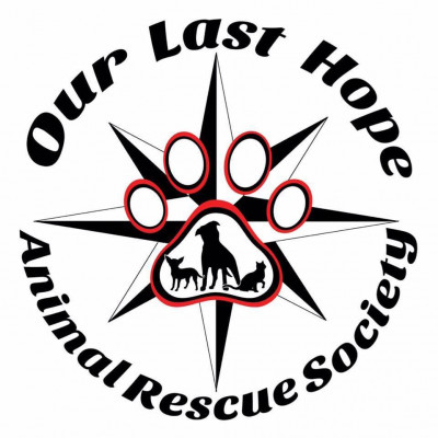 Our Last Hope Animal Rescue Society - Pet Shelter and Rescue in Princeton, British Columbia