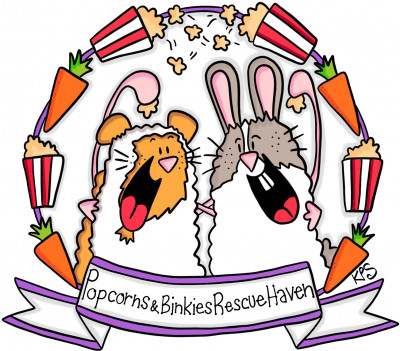 Popcorns  And Binkies Rescue Haven - Pet Shelter and Rescue in Winnipeg, Manitoba