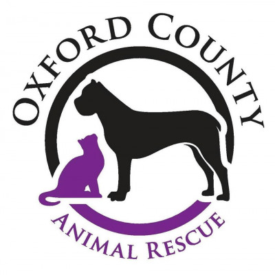 Oxford County Animal Rescue - Pet Shelter and Rescue in Woodstock, Ontario