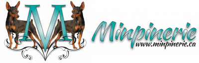 Minpinerie Dog Rescue Group - Pet Shelter and Rescue in Ottawa, Ontario