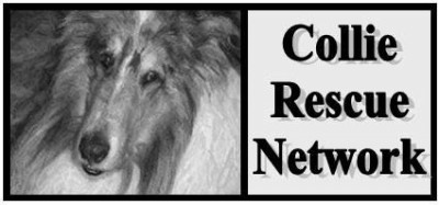 Collie Rescue Network - Pet Shelter and Rescue in Sarnia, Ontario