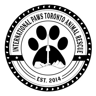 International Paws Toronto - Pet Shelter and Rescue in Mississauga, Ontario