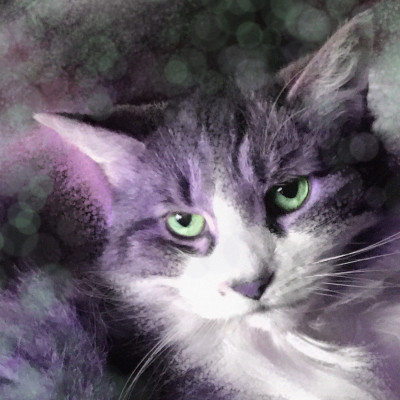 Compassion For Paws - Pet Shelter and Rescue