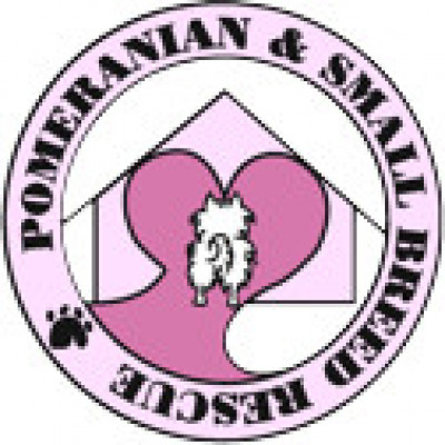 Pomeranian And Small Breed Rescue - Pet Shelter and Rescue in Niagara Falls, Ontario