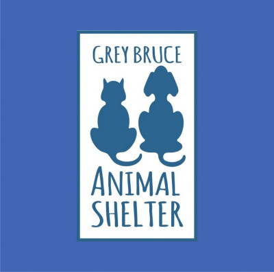 Grey Bruce Animal Shelter - Pet Shelter and Rescue in Meaford, Ontario