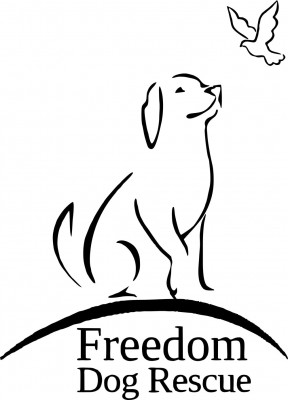 Freedom Dog Rescue - Pet Shelter and Rescue in Casselman, Ontario