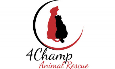 4Champ Animal Rescue - Pet Shelter and Rescue in Greater Sudbury, Ontario