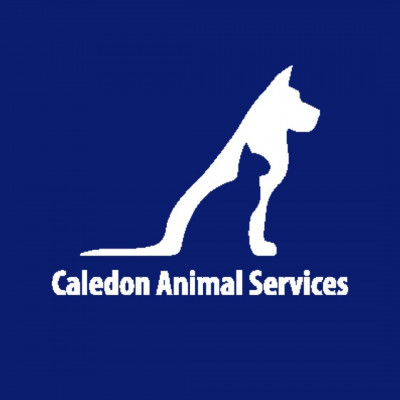 Caledon Animal Shelter - Pet Shelter and Rescue in Bolton, Ontario