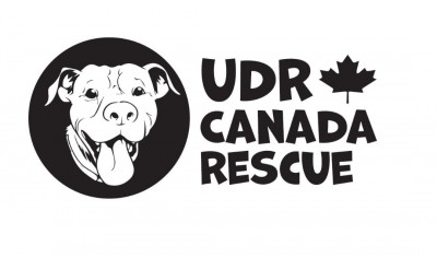 Underdog Railroad Canada - Pet Shelter and Rescue in Markham, Ontario