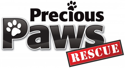 Precious Paws Rescue - Pet Shelter and Rescue in Hawkestone, Ontario