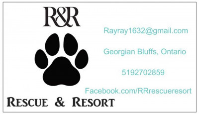 R&R Rescue & Resort - Pet Shelter and Rescue in Wiarton, Ontario
