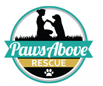 Paws Above Rescue - Pet Shelter and Rescue in King City, Ontario