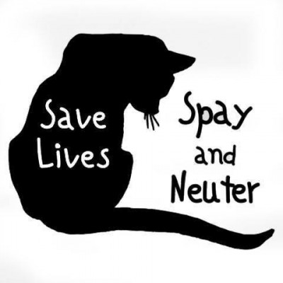 Niagara Spay Neuter Assistance Program Inc. - Pet Shelter and Rescue in Pelham, Ontario