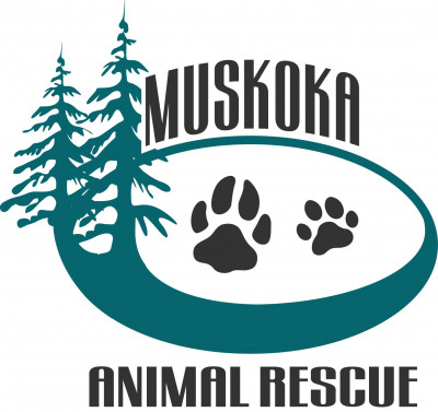 Muskoka Animal Rescue - Pet Shelter and Rescue in Huntsville, Ontario