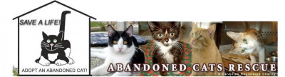 Abandoned Cats Rescue - Pet Shelter and Rescue in Hamilton, Ontario