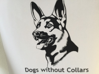 Dogs Without Collars - Pet Shelter and Rescue in Toronto, Ontario