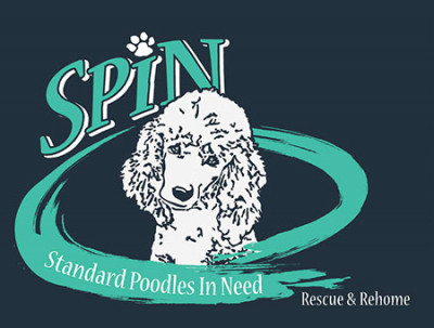 Standard Poodles In Need, Rescue & Rehome - Pet Shelter and Rescue in Courtice, Ontario