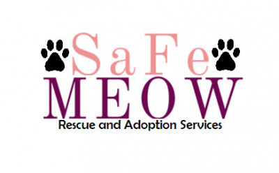 SaFeMEOW - Pet Shelter and Rescue in Guelph, Ontario
