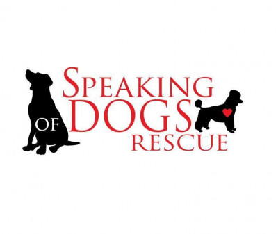 Speaking Of Dogs Rescue - Pet Shelter and Rescue in Toronto, Ontario