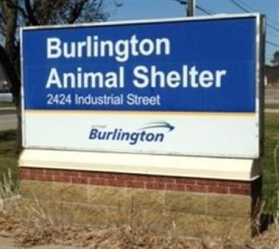 Burlington Animal Shelter - Pet Shelter and Rescue in Burlington, Ontario