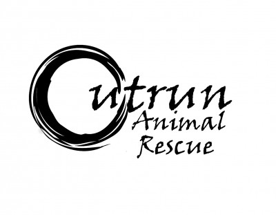 OutRun Rescue - Pet Shelter and Rescue in Lisle, Ontario