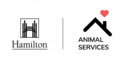 City Of Hamilton - Pet Shelter and Rescue in Hamilton, Ontario