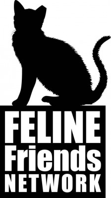 Feline Friends Network - Pet Shelter and Rescue in Stratford, Ontario