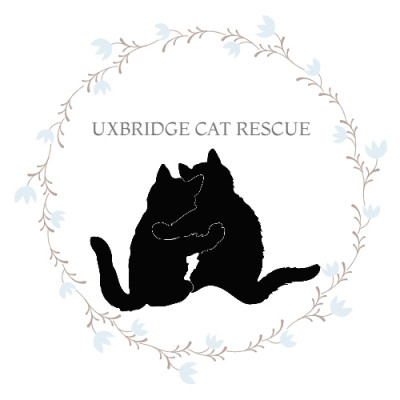Uxbridge Cat Rescue - Pet Shelter and Rescue in Uxbridge, Ontario