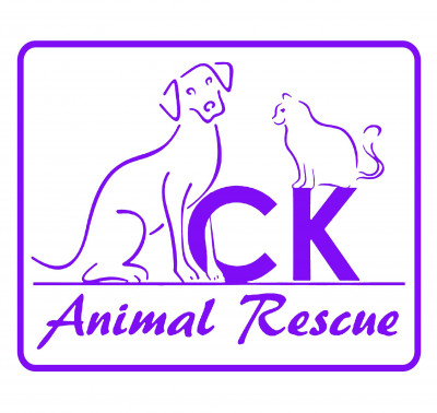 CK Animal Rescue - Pet Shelter and Rescue in Chatham, Ontario