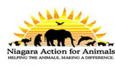 Niagara Action For Animals - Pet Shelter and Rescue in St. Catharines, Ontario