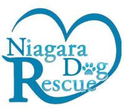 Niagara Dog Rescue - Pet Shelter and Rescue in Niagara Falls, Ontario