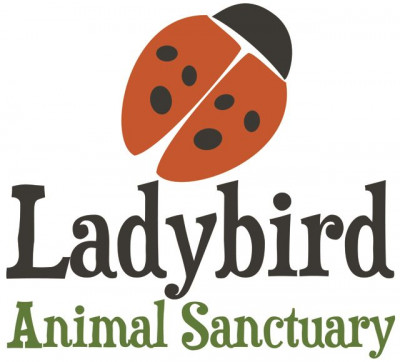 Ladybird Animal Sanctuary - Pet Shelter and Rescue in Hamilton, Ontario