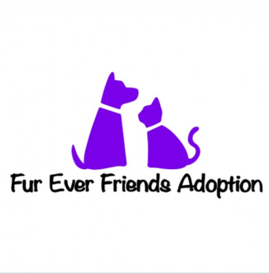 Fur Ever Friends Adoption - Pet Shelter and Rescue in Coldwater, Ontario