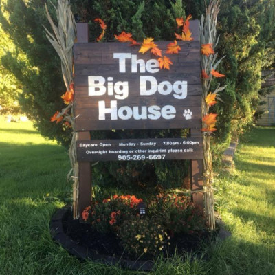 The Big Dog House - Pet Shelter and Rescue in Port Hope, Ontario