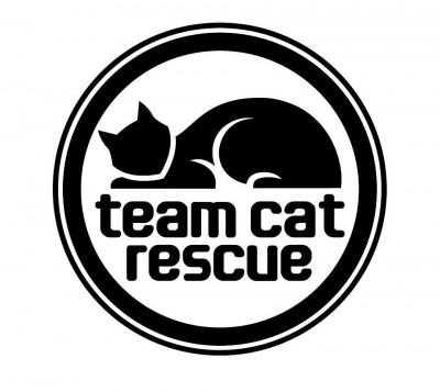 Team Cat Rescue - Pet Shelter and Rescue in Toronto, Ontario