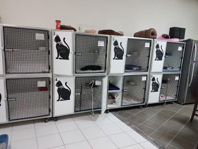 Refuge Bella-Lou / JS (SOS) Minou Et Pitou - Pet Shelter and Rescue in Candiac, Québec