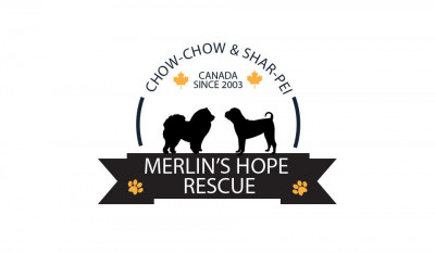 Merlins Hope Chow Chow/ Chinese  Shar-Pei Rescue - Pet Shelter and Rescue in Dorval, Quebec