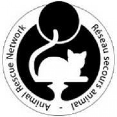 Animal Rescue Network / Réseau Secours Animal - Pet Shelter and Rescue in Montréal, Québec