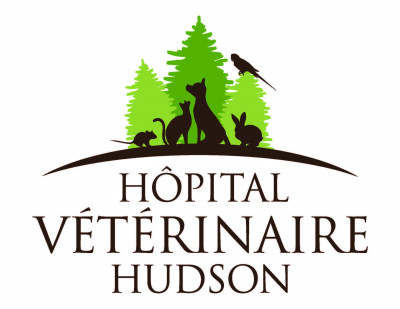 Hudson Veterinary Hospital - Pet Shelter and Rescue in Vaudreuil-Dorion, Quebec